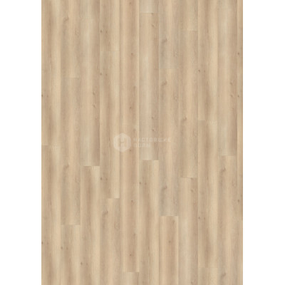 Ламинат Wineo 500 XXL V4 LA165XXLV4 Дуб Премиум Бежевый однополосный