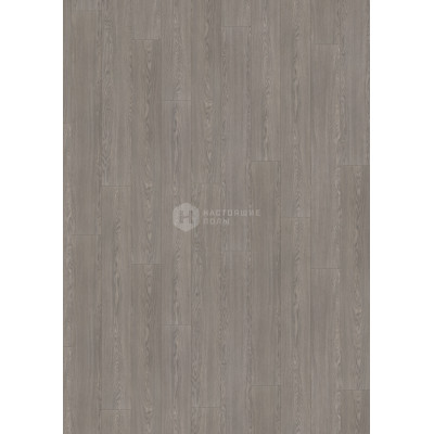 Ламинат Wineo 500 XXL V4 LA173XXLV4 Дуб Спокойный Серый однополосный
