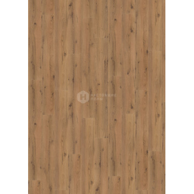 Ламинат Wineo 500 XXL V4 LA176XXLV4 Дуб Рустик Коричневый однополосный