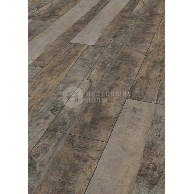 Ламинат Kronotex Exquisit Plus D4981 Дуб Трейл, 1380*244*8 мм