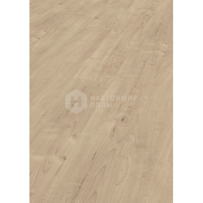 Ламинат Kronotex Dynamic Plus D4636 Клен однополосный, 1380*193*8 мм Ламинат Kronotex Dynamic Plus D4636 Клен однополосный, 1380*193*8 мм