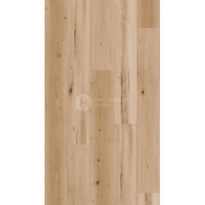 Ламинат Kaindl Classic Touch Standard Plank K4368 Бук Сваран однополосный, 1383*193*8 мм