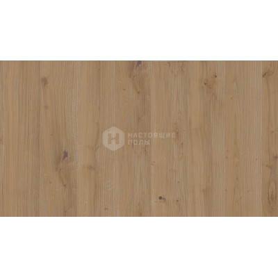 Паркетная доска Weitzer Parkett WP Diele 2245 Plus 65028 Дуб Устрица рустик брашированный однополосный, масло воск ProActive+, 2245*193*14 мм Паркетная доска Weitzer Parkett WP Diele 2245 Plus 65028 Дуб Устрица рустик брашированный однополосный, масло воск ProActive+, 2245*193*14 мм