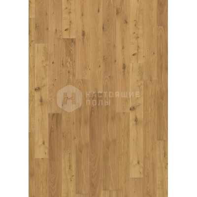 Паркетная доска Wicanders RW04385A Дуб Дерби брашированный под маслом однополосный, 2200*260*15 мм Паркетная доска Wicanders RW04385A Дуб Дерби брашированный под маслом однополосный, 2200*260*15 мм