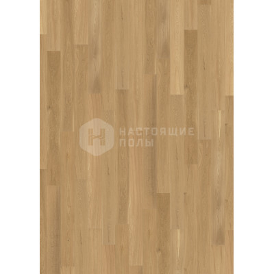 Паркетная доска Wicanders RW04451 Дуб Джерси брашированный под ультраматовым лаком однополосный, 1860*189*14 мм Паркетная доска Wicanders RW04451 Дуб Джерси брашированный под ультраматовым лаком однополосный, 1860*189*14 мм