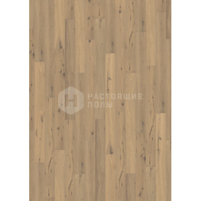 Паркетная доска Wicanders RW04254C Дуб Айвори строганный под маслом однополосный, 1900*190*15 мм Паркетная доска Wicanders RW04254C Дуб Айвори строганный под маслом однополосный, 1900*190*15 мм