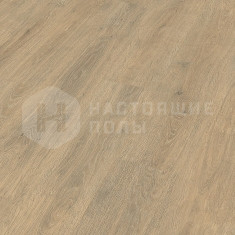 6420 Дуб бариста однополосный