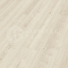 6835 Дуб Исландский однополосный