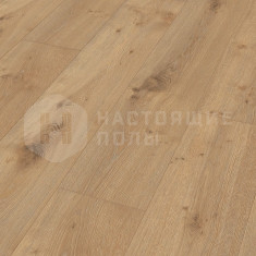 6385 Дуб Дакар однополосный