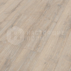 6864 Дуб Мидсаммер однополосный