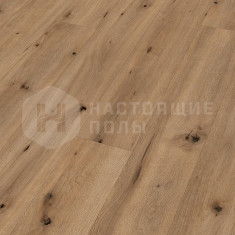 6844 Дуб Полевой натуральный однополосный