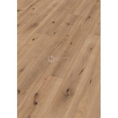 Ламинат Meister LL150 6843 Дуб Лайт филд однополосный, 2052*220*8 мм Ламинат Meister LL150 6843 Дуб Лайт филд однополосный, 2052*220*8 мм