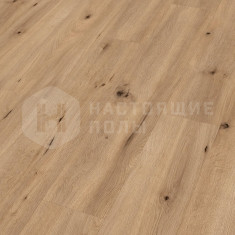 6843 Дуб Полевой светлый однополосный