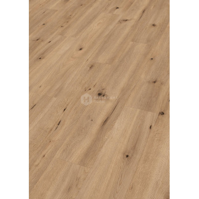 Ламинат Meister LD250 6843 Дуб Полевой светлый однополосный, 1287*220*10 мм