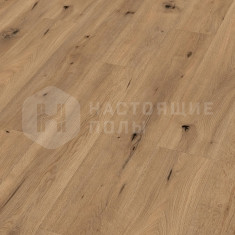 6844 Дуб Полевой натуральный однополосный