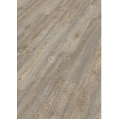 Ламинат Meister LD250 6977 Дуб Дикий серый однополосный, 1287*220*10 мм