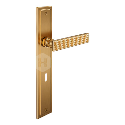 Дверная ручка на планке с отверстием под ключ буратино dnd Eleonora 02 EL10P PVD-SG