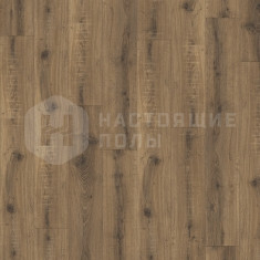 22877LR Дуб Брио
