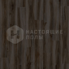 24980LR Дуб Классический