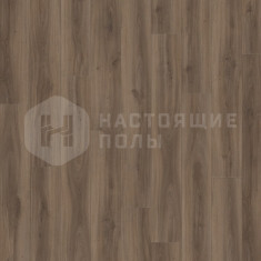 24864LR Дуб Классический