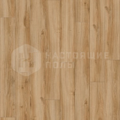 24837LR Дуб Классический