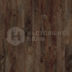 24892LR Дуб Кантри