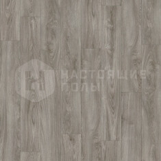22929LR Дуб Мидленд