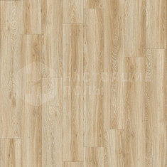 22220LR Дуб Блэкджек