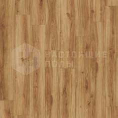 24235LR Дуб Классический