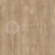 22232LR Дуб Шерман