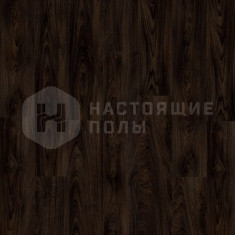 51992LR Дуб Лаурель