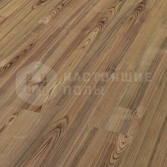 D828 Prime European Walnut