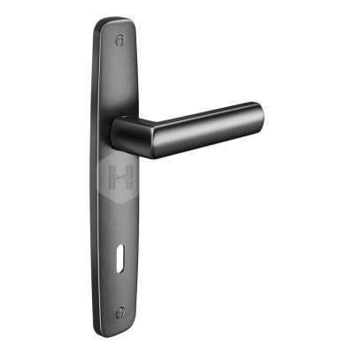 Дверная ручка на планке с отверстием под ключ буратино dnd Vita VI10P PGS