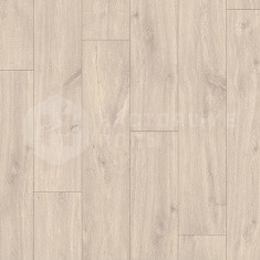 CLM-1655 Кубинский дуб