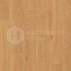 CLM-1659 Лунный дуб