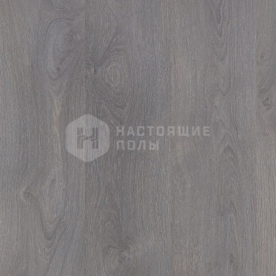 Ламинат Tarkett Woodstock Family 504044107 Дуб Туманный люкс