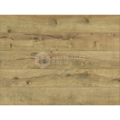 Ламинат Classen Pool 832-4 WR 52345 Дуб Светлый Натуральный, 1285*192*8 мм