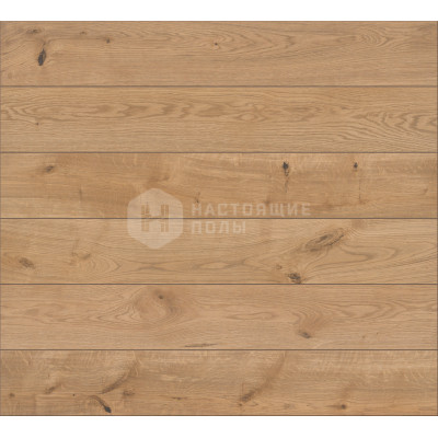 Ламинат Classen Pool 832-4 4V 52572 Дуб Натур Желтый,1286*194*8 мм