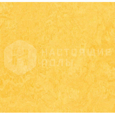 Линолеум натуральный клеевой в плитках Мармолеум t3251 Lemon Zest, 500*500*2.5 мм