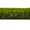 Искусственная трава Condor Grass Blossom 4020, 2000 мм