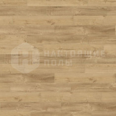 537263 Дуб Портленд Инвизибл