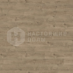 537264 Дуб Портленд Темно-Серый структурированный