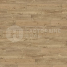 537260 Дуб Шэбби Инвизибл