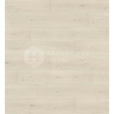 Ламинат Haro Tritty 100 Campus 541542 Дуб Эмилия Белый однополосный, 1282*243*8 мм