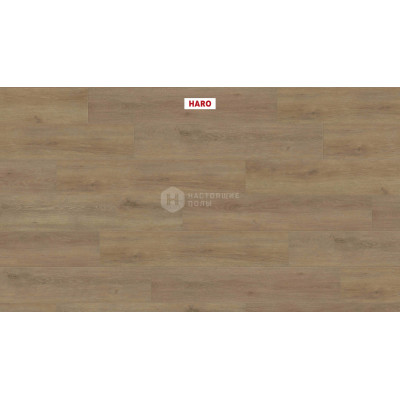 Ламинат Haro Tritty 100 Campus 541543 Дуб Венето Кремовый однополосный, 1282*243*8 мм
