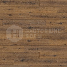 530327 Дуб Италика Дымчатый однополосный