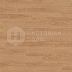 526668 Дуб Элеганс однополосный