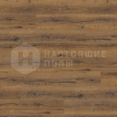 530333 Дуб Италика Дымчатый однополосный