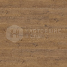 533142 Дуб Портлэнд Янтарный однополосный