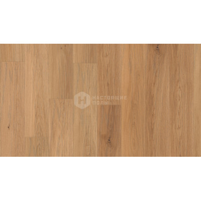 Инженерный паркет Weitzer Parkett WP Quadra 64878 Дуб натур гладкий ProVital Finish, 1800*175*14 мм